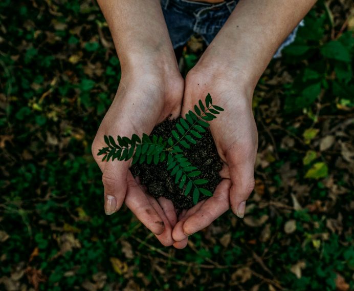 Our Green Team: Committed to a Greener Future